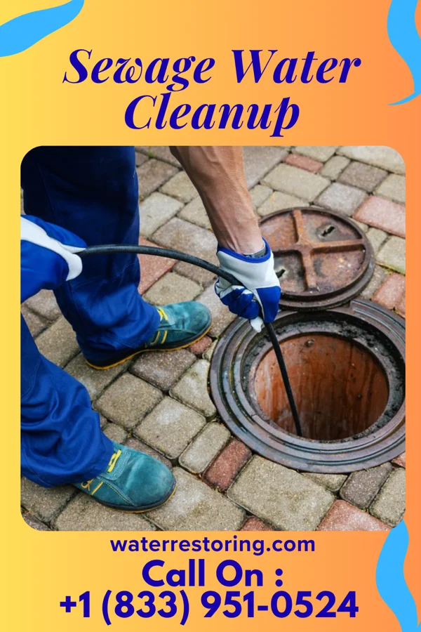 Sewage Water Cleanup in Papillion, NE
